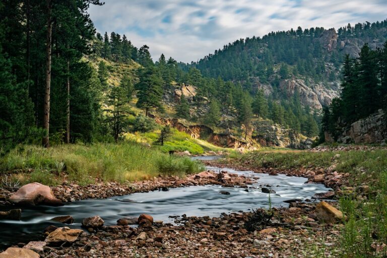 Explore Nature: Free Biking And Hiking Workshops In September At
