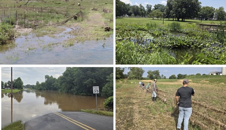 Lancaster County's Rainfall Challenges Stormwater And Watershed Restoration Efforts