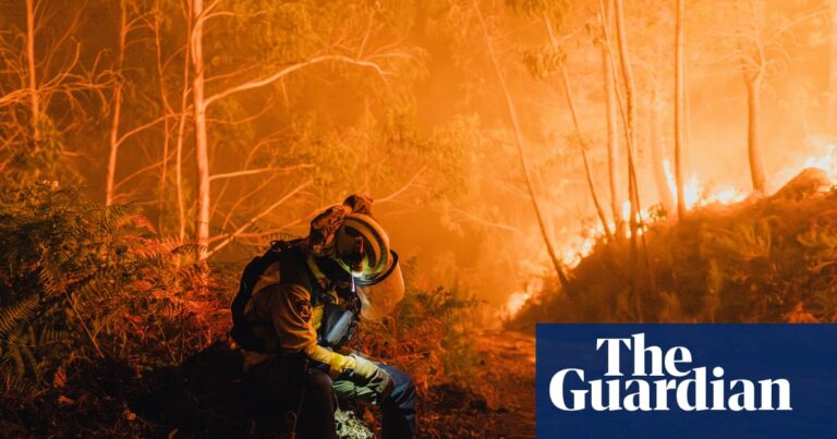 Record Breaking Wildfires Persist Throughout The Season