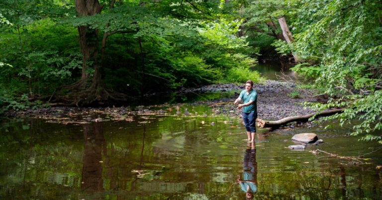 Revitalizing Fairfield's Mill River: Conservation Efforts For Thriving Trout Fishing