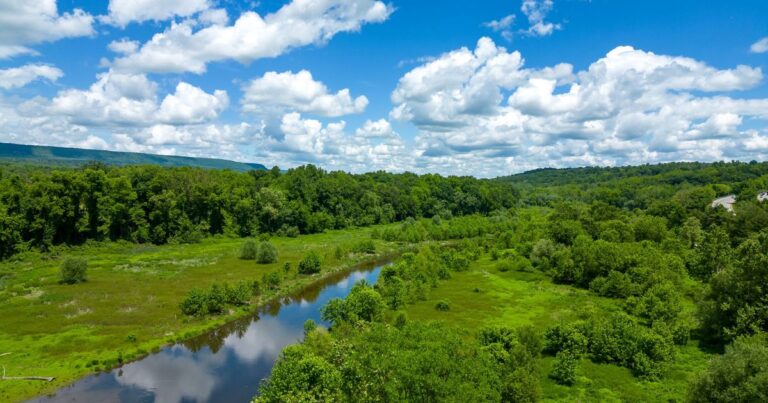 Reviving The Paulins Kill River
