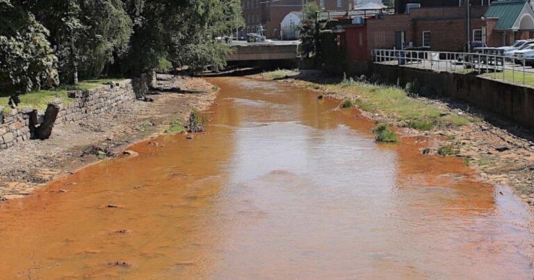 Shamokin Creek Alliance Unveils Upper Watershed Restoration Plan At Upcoming