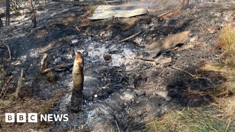 Surrey Heath Wildfire Triggered By Uncontrolled Campfire