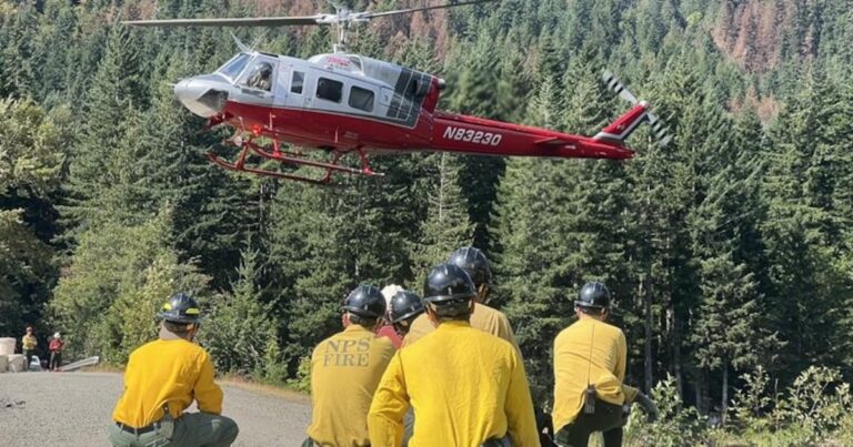 Trump's Crackdown Extends To Arresting Firefighters During Wildfire Battles