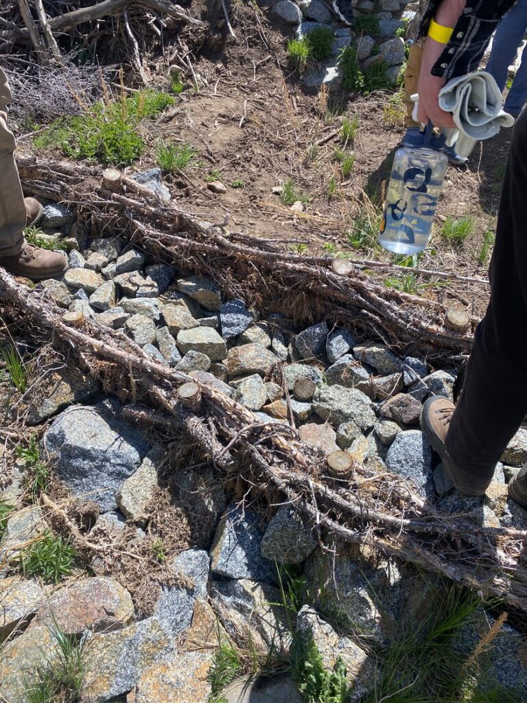 Watershed Restoration: A Film Journey