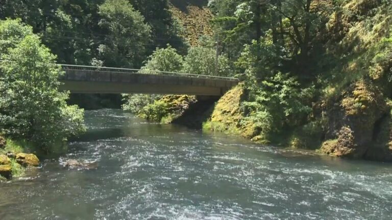 Idaho Senators Unveil New Bill For Forest And Watershed Conservation