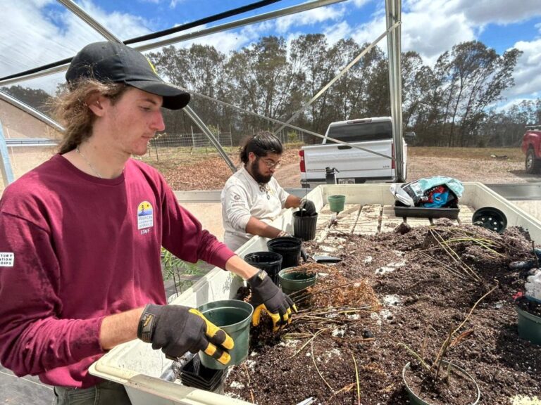 Kula Community Watershed Alliance Celebrates Two Years Of Commitment To