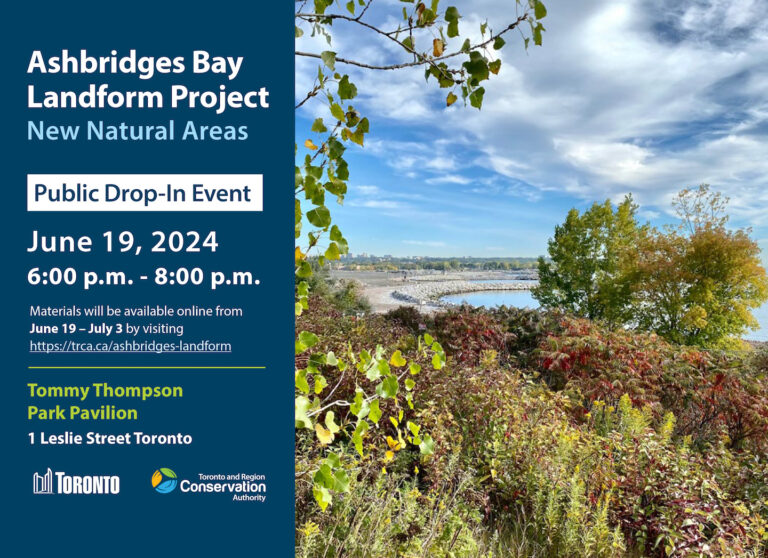Revitalizing Ashbridges Bay: A Sustainable Future For Toronto's Waterfront