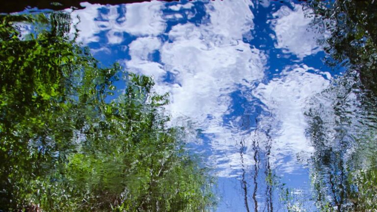 Santa Fe Watershed Association Receives Watersmart Grant For Conservation Initiatives