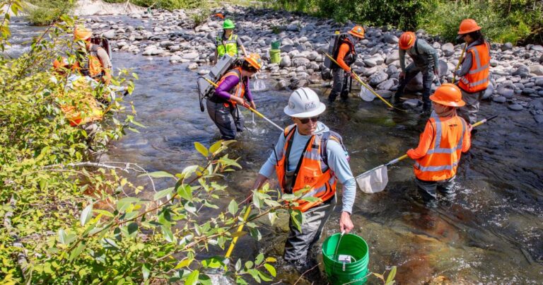 Transforming Quartz Creek: Enhancing Resilience Against Floods And Fires In