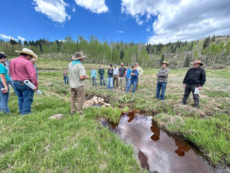 Watershed Restoration: A Journey To Revive Our Ecosystems
