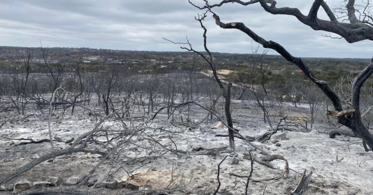 Bexar Commissioners Renew Burn Ban Amid High Wildfire Threat Bexar Commissioners Renew Burn Ban Amid High Wildfire Threat
