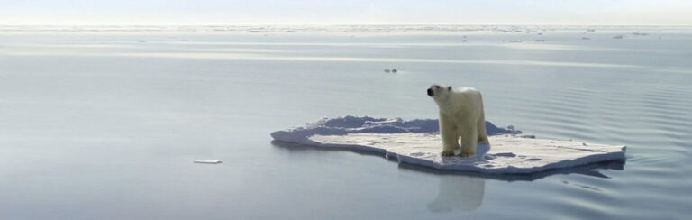 Climate Change: A Pivotal Challenge For The Two Davids