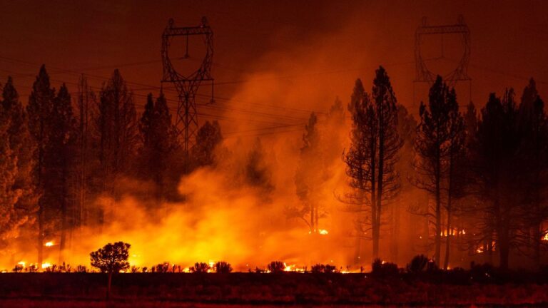Count La Wildfire Rebuilds Surpass 500 Approvals