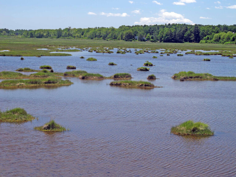 Discovering The World Of Watersheds