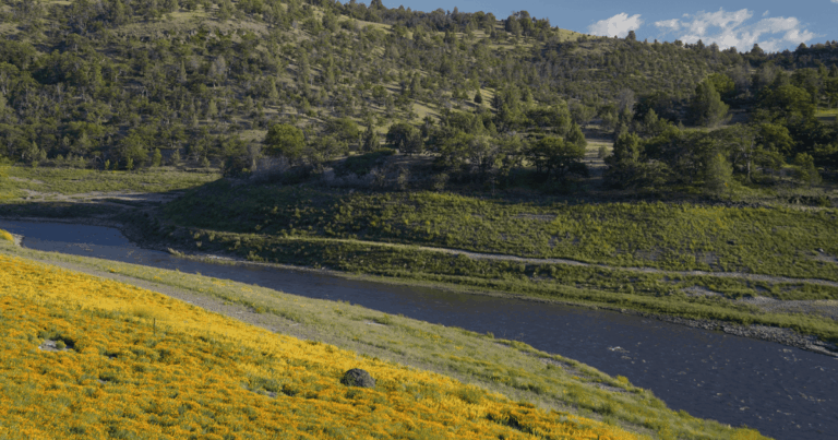 Klamath River: A Year Of Renewal After Dam Removal
