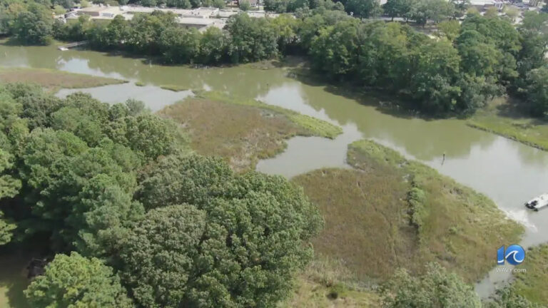 Lynnhaven River Restoration Progresses Forward