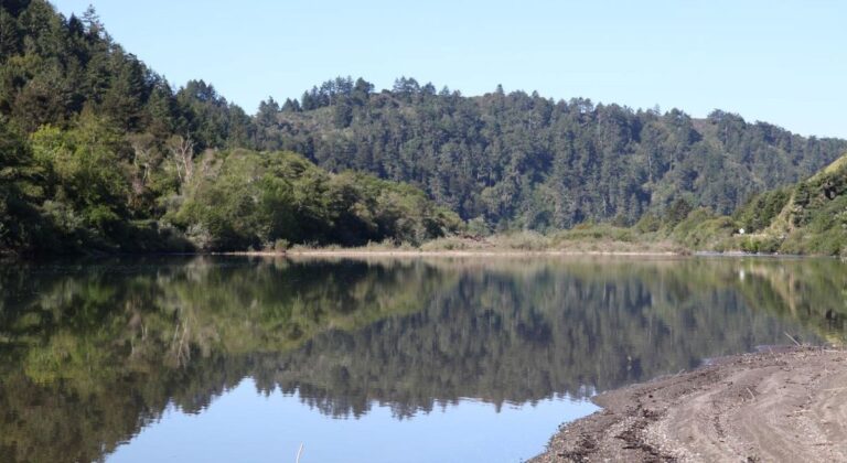 Revitalizing Salmon Habitats In The Lower Russian River: Key Restoration