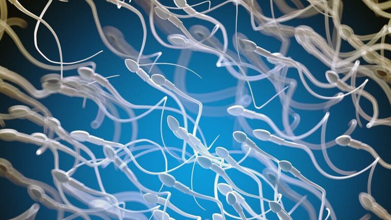 Wildfire Smoke May Impact Male Fertility