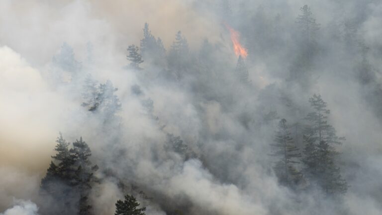New Insights Reveal Hidden Dangers Of Wildfire Smoke