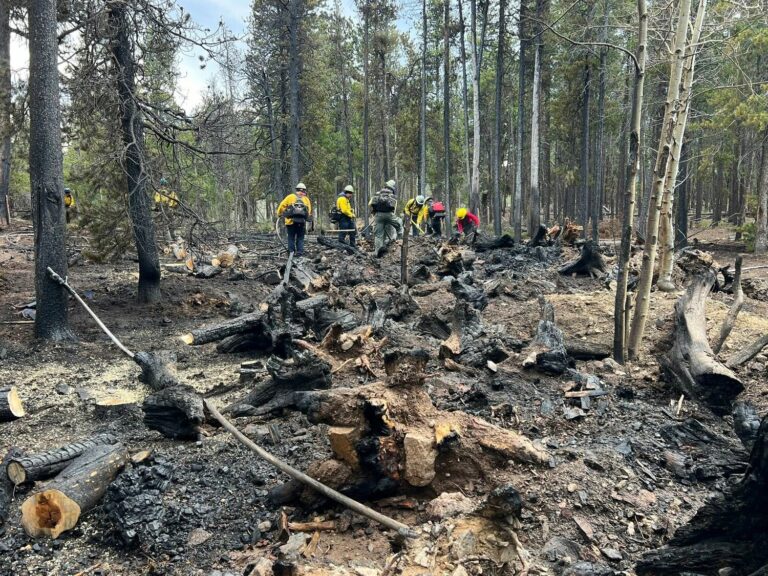 Quick Control of Evening Wildfire Near Rollinsville Quick Control Of Evening Wildfire Near Rollinsville