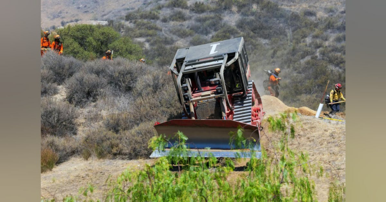 Reevaluating Wildfire Fuel Cleanup Strategies Reevaluating Wildfire Fuel Cleanup Strategies