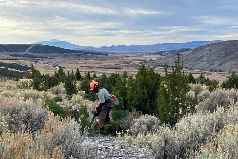 Utah's Watershed Restoration Initiative Achieves Milestone With 144k Acres Revitalized