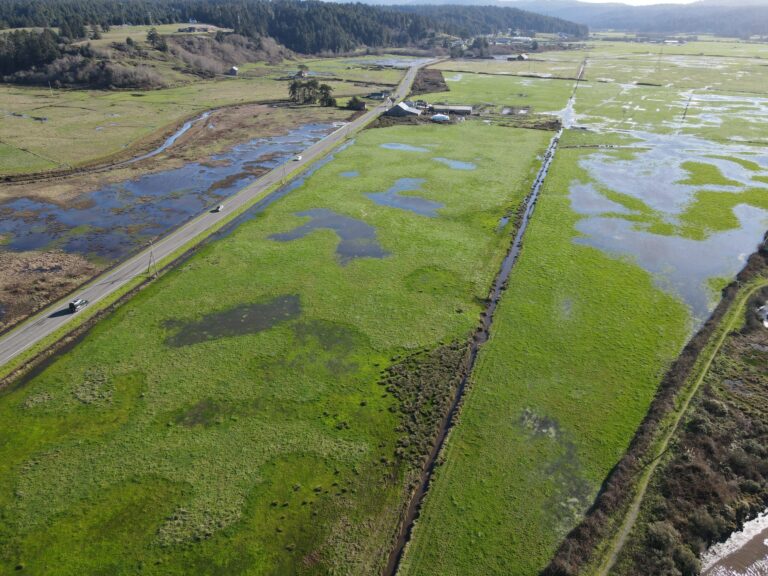 Elk River Recovery Initiative For California Trout