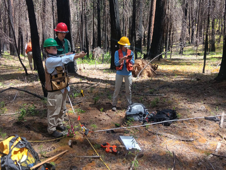 Exploring The Broader Impact Of Tahoe's Environmental Insights