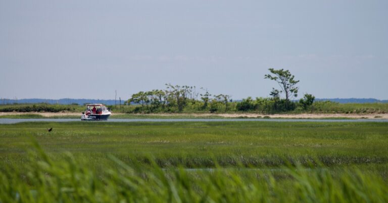 New Funding Boosts Long Island Sound Watershed Restoration Efforts New Funding Boosts Long Island Sound Watershed Restoration Efforts