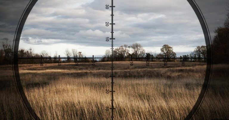 Temporary Closures At Rend Lake For Firearm Deer Season Inspection