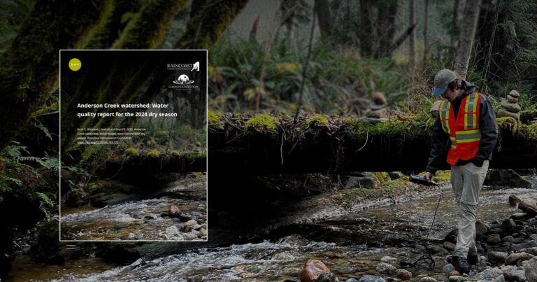 Anderson Creek Watershed 2024 Dry Season Water Quality Insights