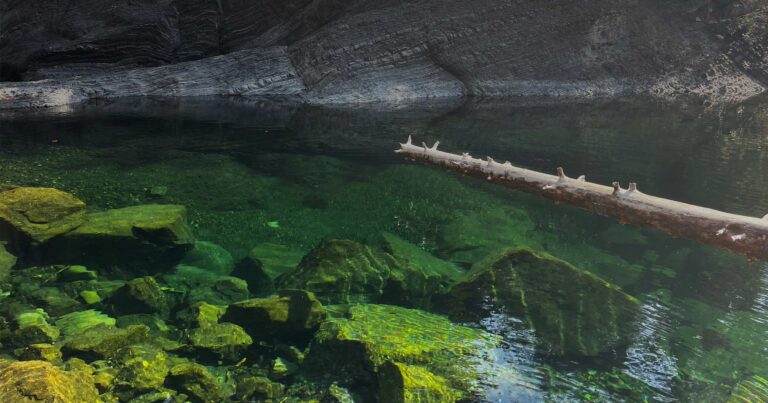 Chemainus River Watershed Water Quality Overview For 2023/24 Wet Season