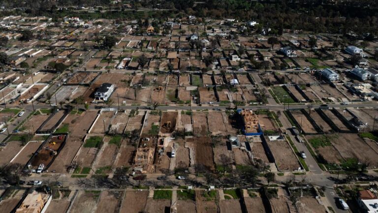 Community Resilience and Recovery: Honoring the Legacy of Historic Los Angeles Wildfires Community Resilience And Recovery: Honoring The Legacy Of Historic Los