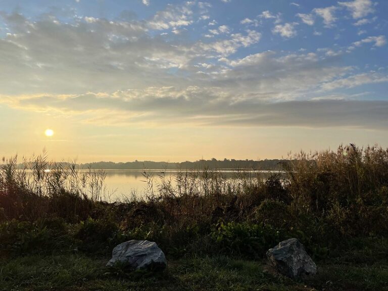 Coordinated Efforts For Watershed Restoration Projects