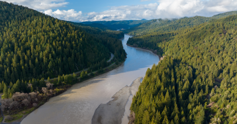 Eel River Revival: Reflections and Future Pathways Eel River Revival: Reflections And Future Pathways