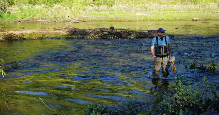 Freshwater Scientist Unites Diverse Knowledge as New Svare Research Chair Freshwater Scientist Unites Diverse Knowledge As New Svare Research Chair