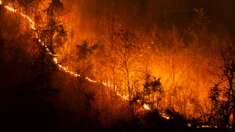 Innovations In Wildfire Technology: Lessons Learned And Future Paths