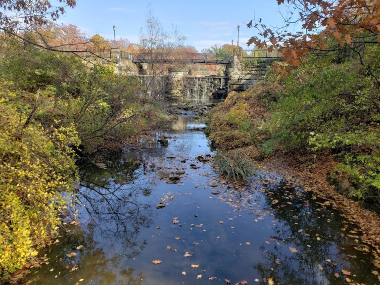 New Leadership For Doan Brook Watershed Partnership