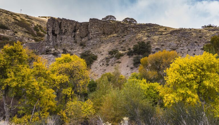 Officials Mark Key Milestone in Land Restoration Efforts Officials Mark Key Milestone In Land Restoration Efforts
