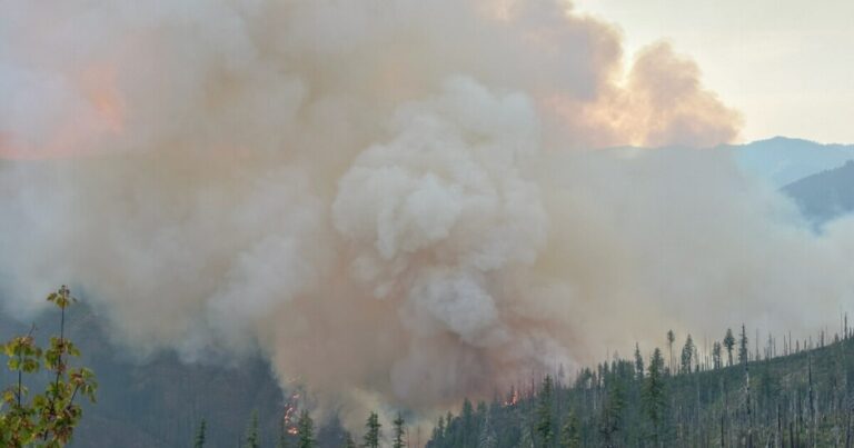 Wildfires May Foster Cancer Causing Compounds In Soil, Oregon Researchers Find