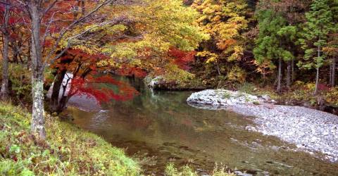 $12.5 Million Boost for Watershed Restoration Efforts $12.5 Million Boost For Watershed Restoration Efforts