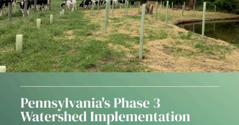Chesapeake Bay News: Enhancing Water Quality through Action Plans and Restoration Efforts Chesapeake Bay News: Enhancing Water Quality Through Action Plans And