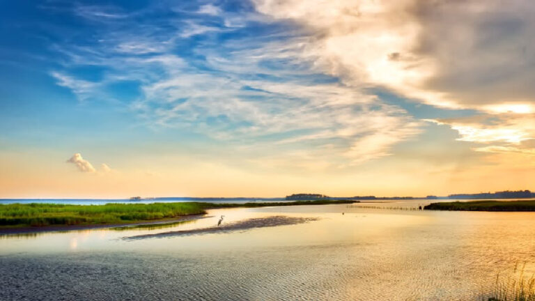 Chesapeake Bay Watershed Gains $44 Million for Restoration Projects Chesapeake Bay Watershed Gains $44 Million For Restoration Projects