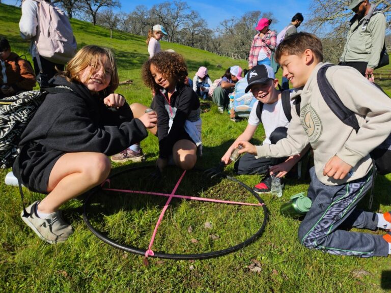 Engaging Students In Interactive Environmental Learning