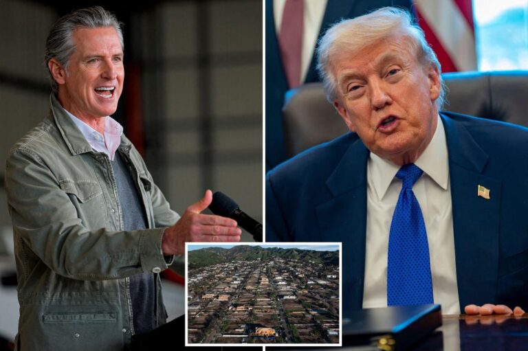 Gavin Newsom Critiques Trump’s Wildfire Recovery Initiative in LA Gavin Newsom Critiques Trump's Wildfire Recovery Initiative In La