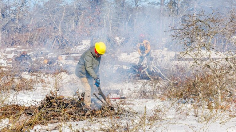 Napeague Park's Controlled Burns: A Strategy For Wildfire Safety