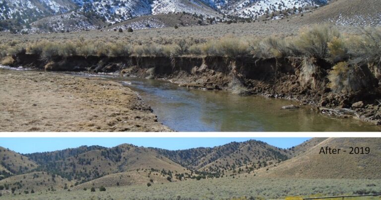 Restoring Utah’s Wildlands: A 20-Year Transformation Restoring Utah's Wildlands: A 20 Year Transformation