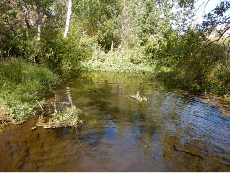 Reviving the Little Shasta River: Evans Spring Flow Restoration Project Reviving The Little Shasta River: Evans Spring Flow Restoration Project