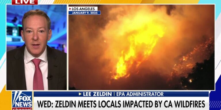 Trump Names Lee Zeldin As La Permitting Director To Boost